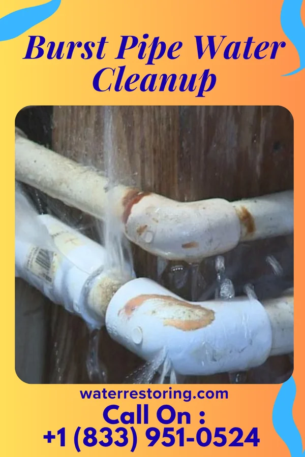 Burst Pipe Water Cleanup in Russia, OH