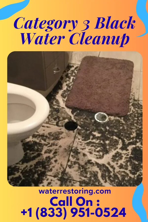 Category 3 Black Water Cleanup in Russia, OH
