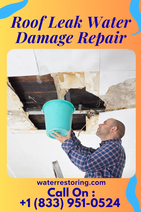 Roof Leak Water Damage Repair in Russia, OH